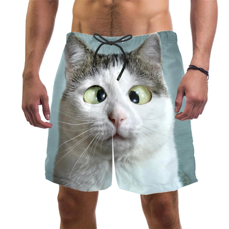 3d Print Funny Cat Beach Short - Trunks Board Surf ulasan dan harga